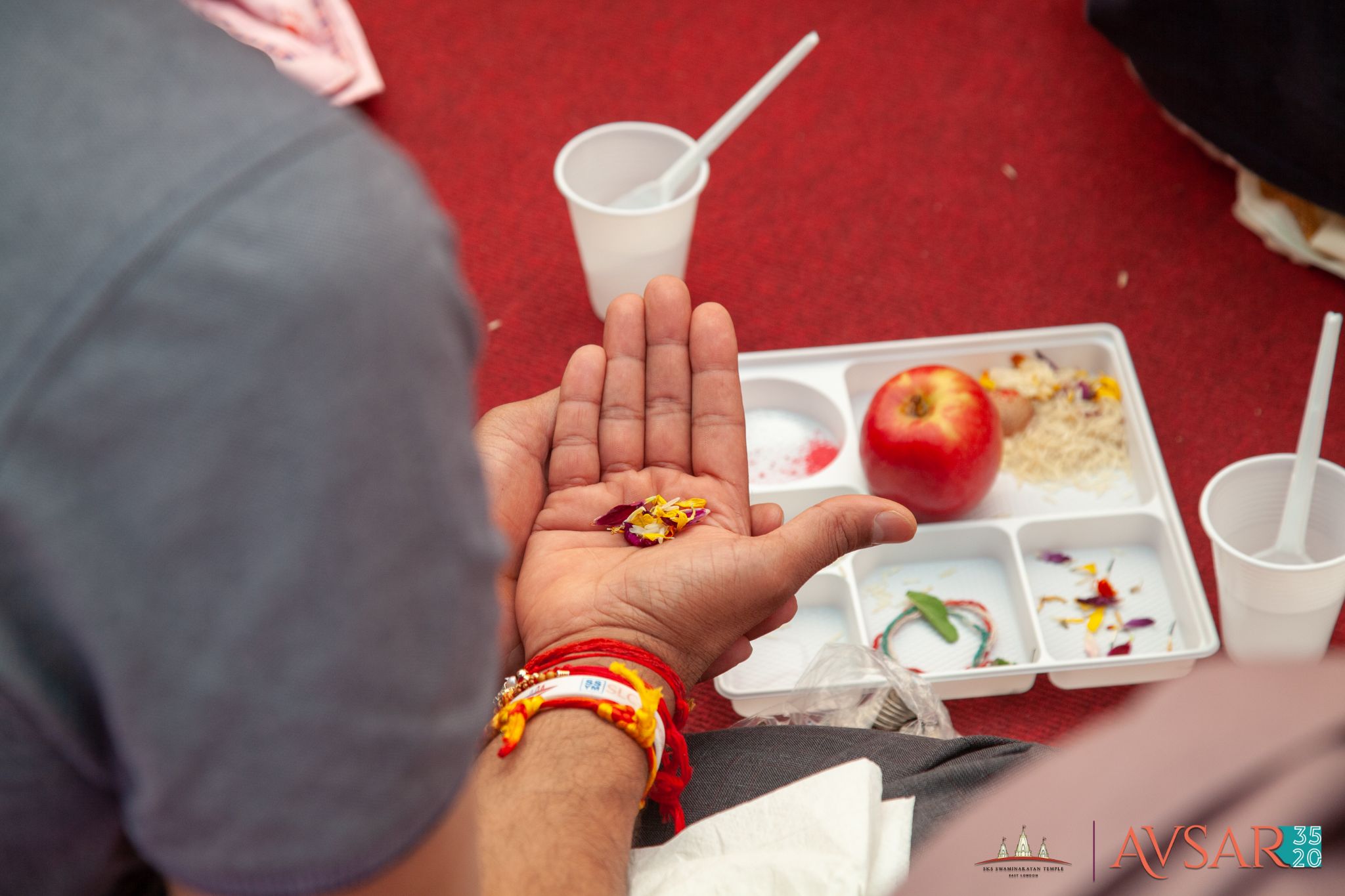 IMG 0011 - ©1987-2017 SKS Swaminarayan Temple East London