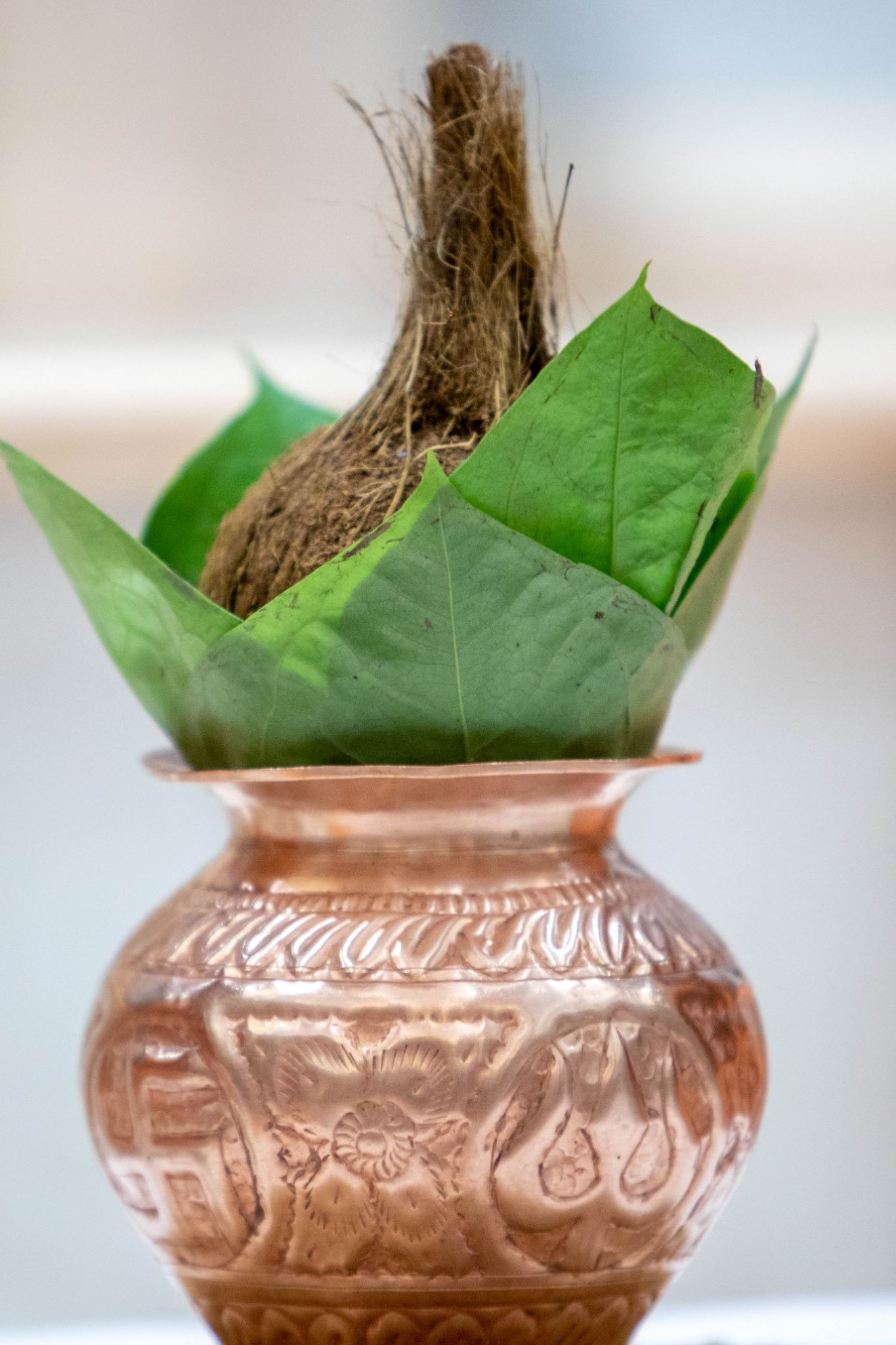 0W2A9285 - ©1987-2017 SKS Swaminarayan Temple East London