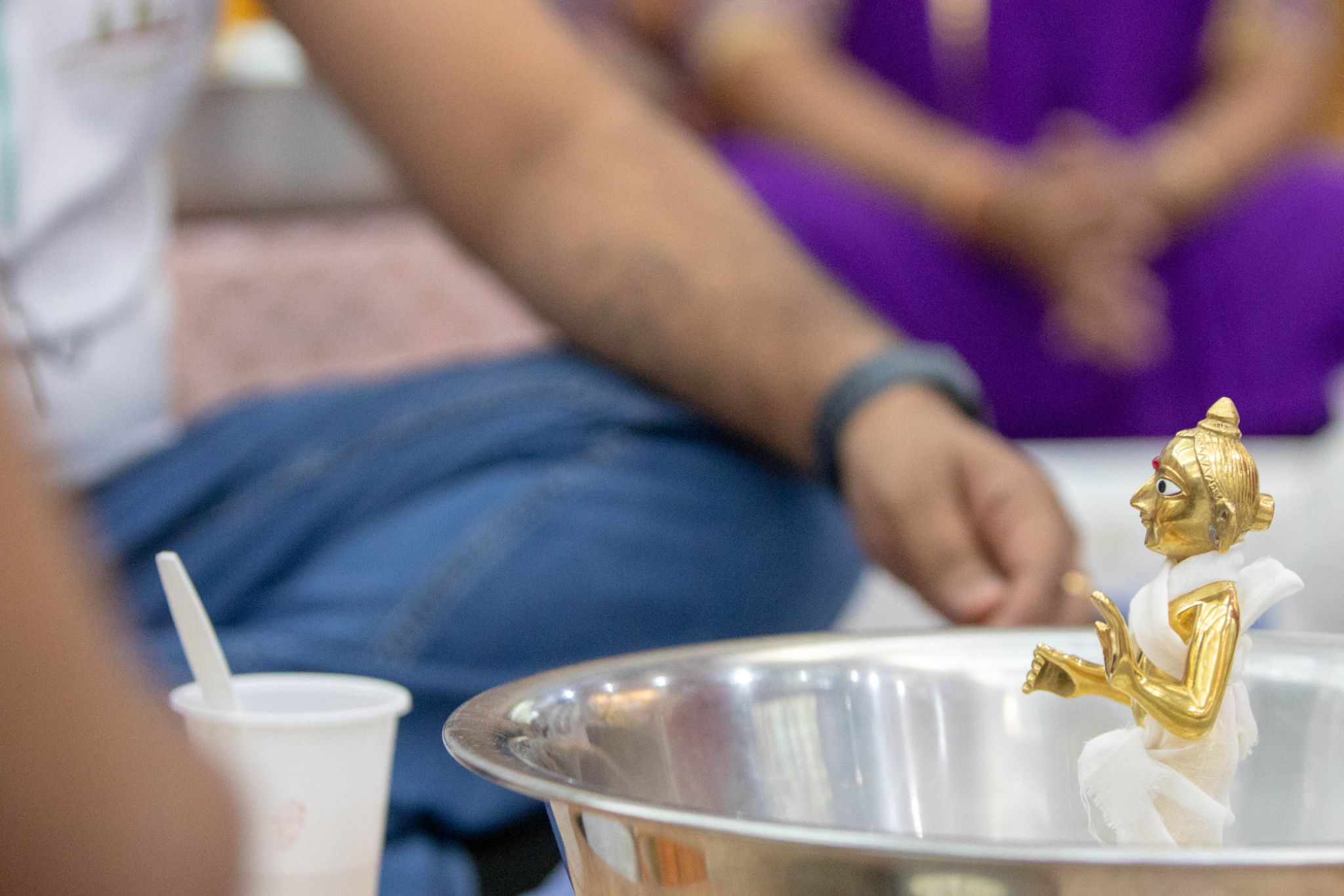 0W2A9302 - ©1987-2017 SKS Swaminarayan Temple East London