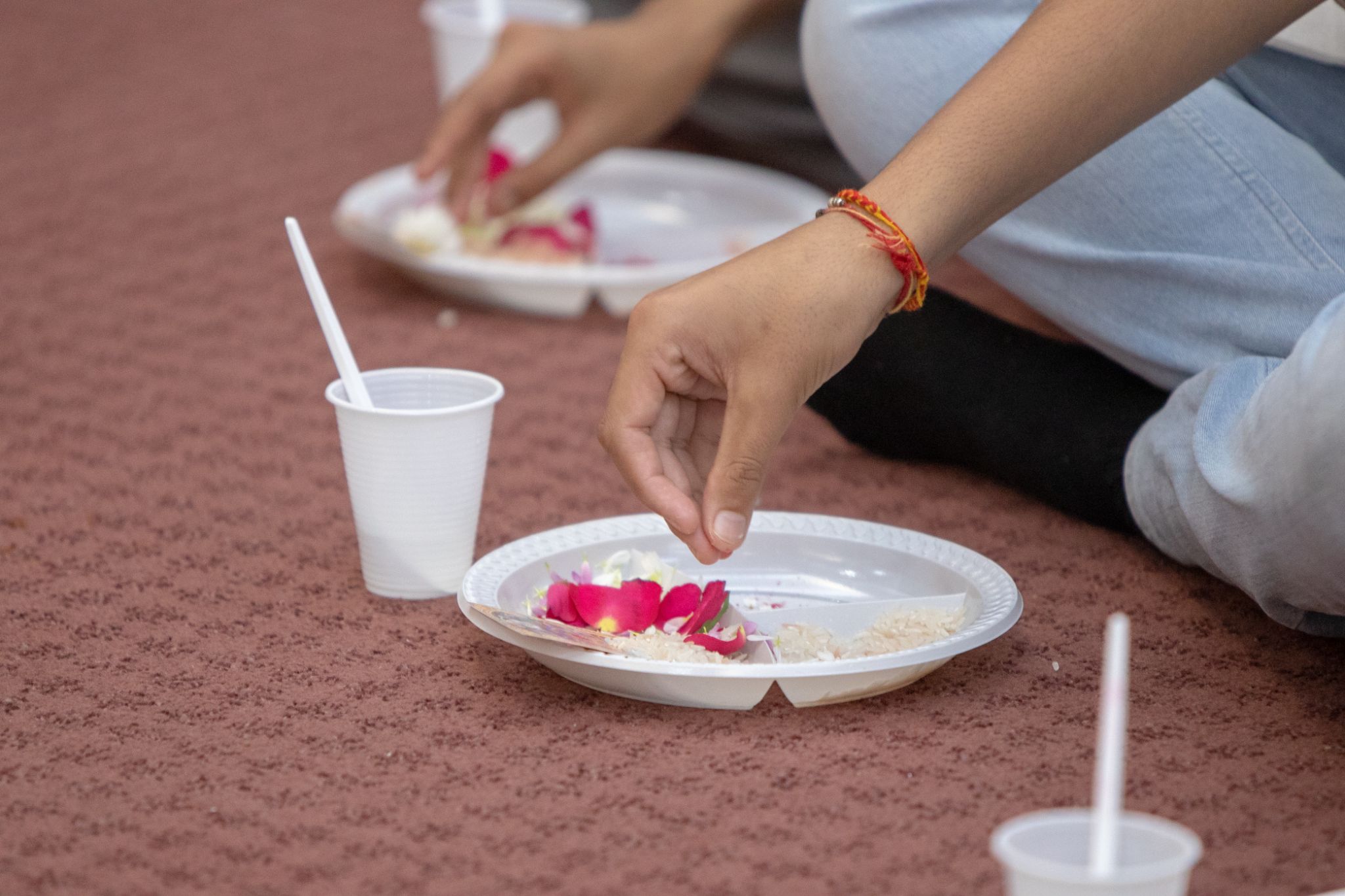 0W2A0618 - ©1987-2017 SKS Swaminarayan Temple East London