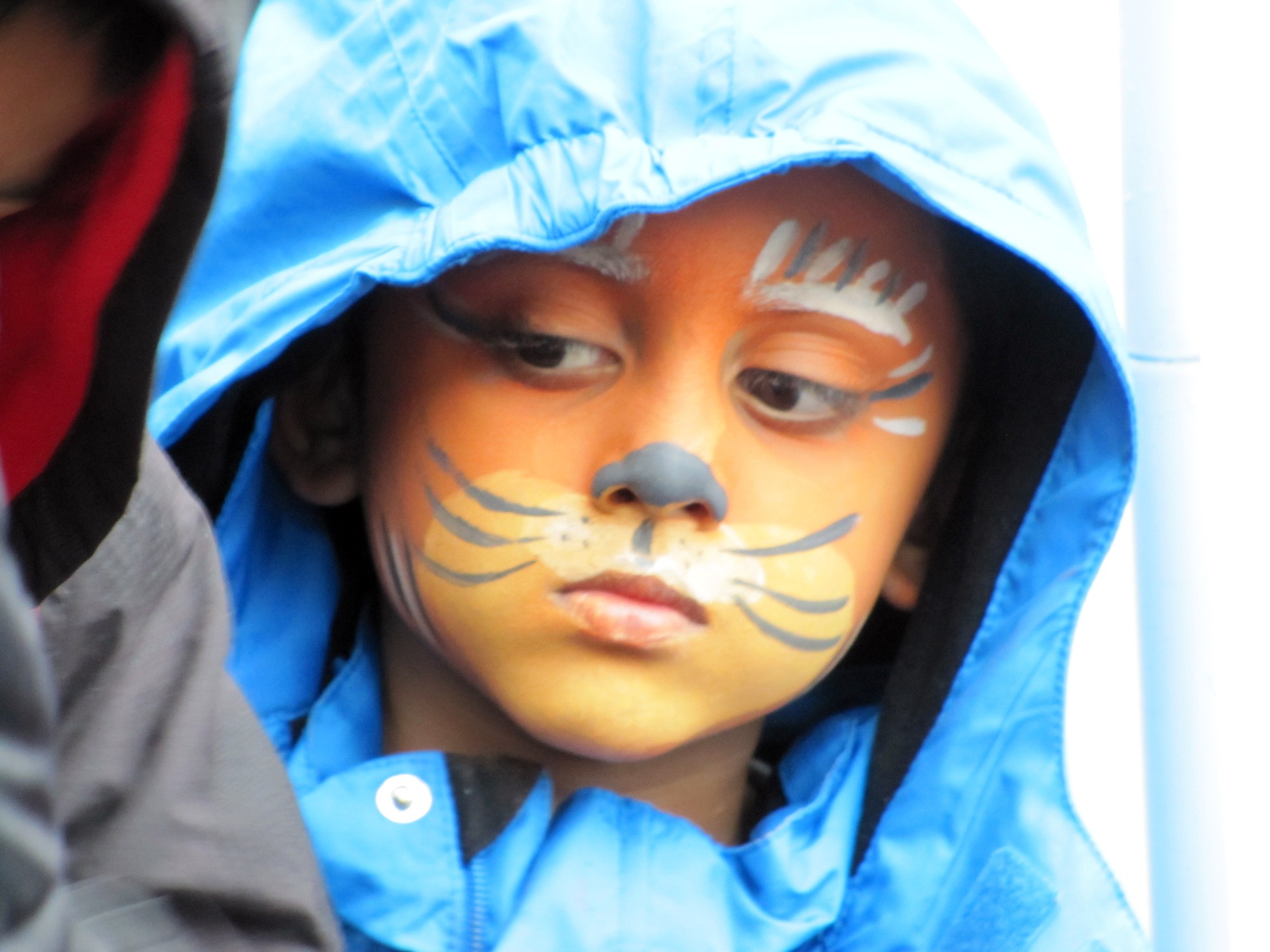 ©1987-2017 SKS Swaminarayan Temple East London