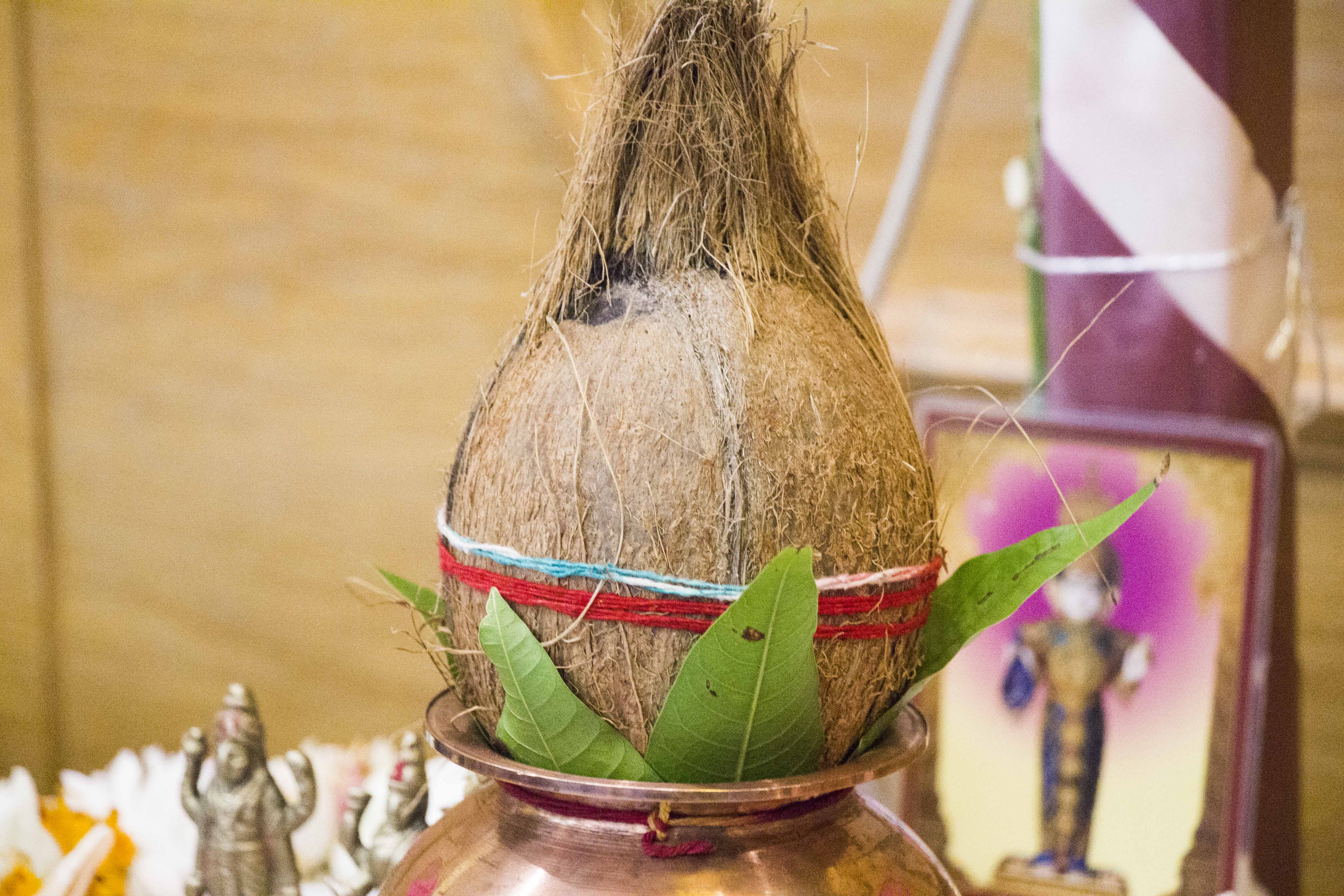 IMG 4191 - ©1987-2017 SKS Swaminarayan Temple East London